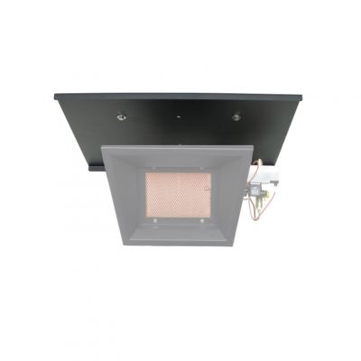 Alke Beschermplaat Type 81 en 101